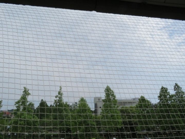 パークサイドヒバリのその他画像