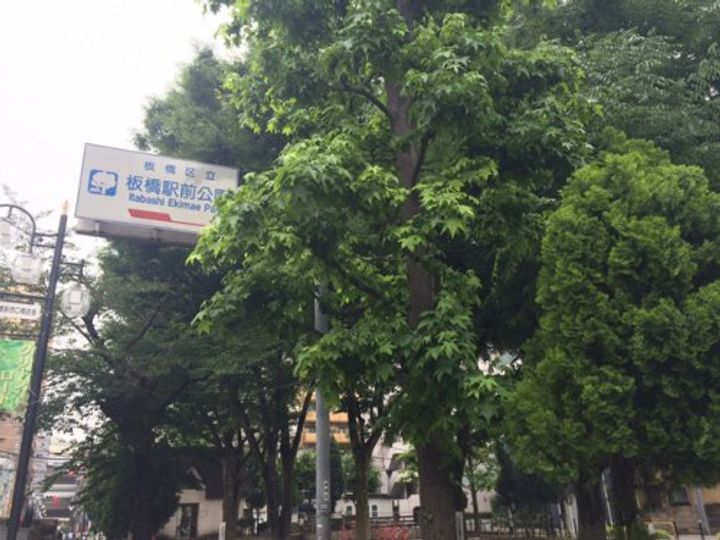 東京都板橋区板橋1の賃貸マンションの周辺