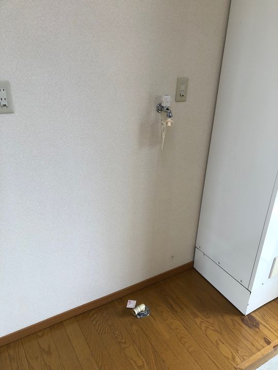 コーポカメリアII2-Cの内装