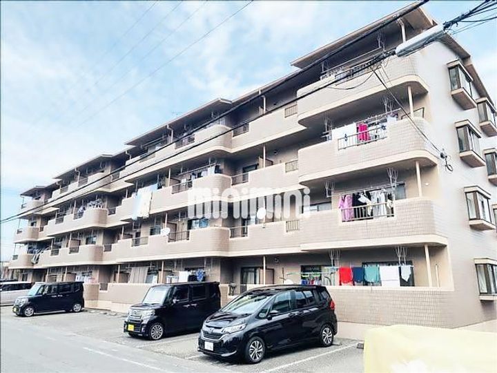 エクセルシオールIIの外観