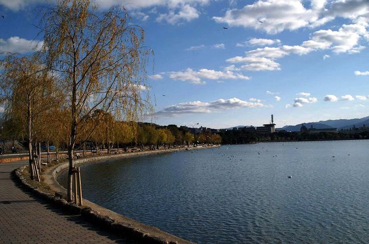 福岡県福岡市中央区荒戸1(マンション)の賃貸物件の周辺