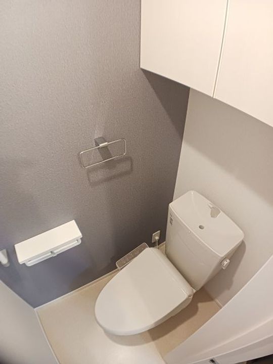 群馬県高崎市吉井町塩川(アパート)の賃貸物件の内装