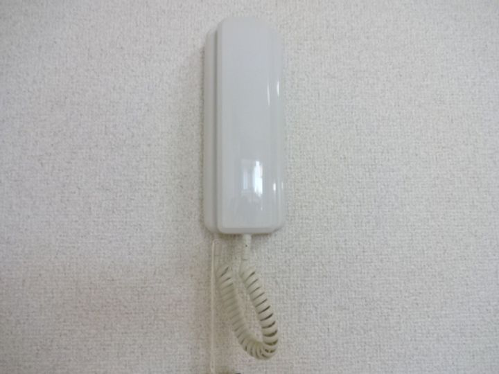 滋賀県長浜市宮司町(一戸建)の賃貸物件の内装