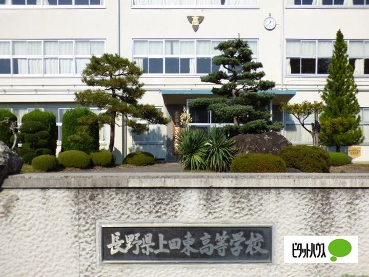 シティドエルの周辺