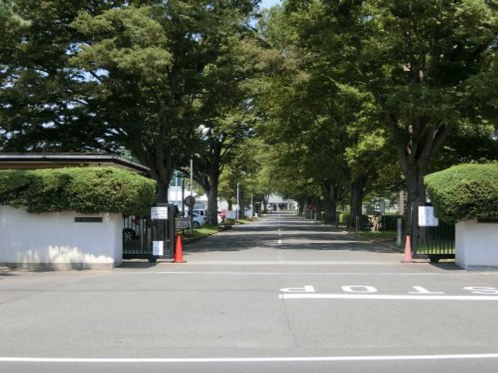 シティパル小堤の周辺