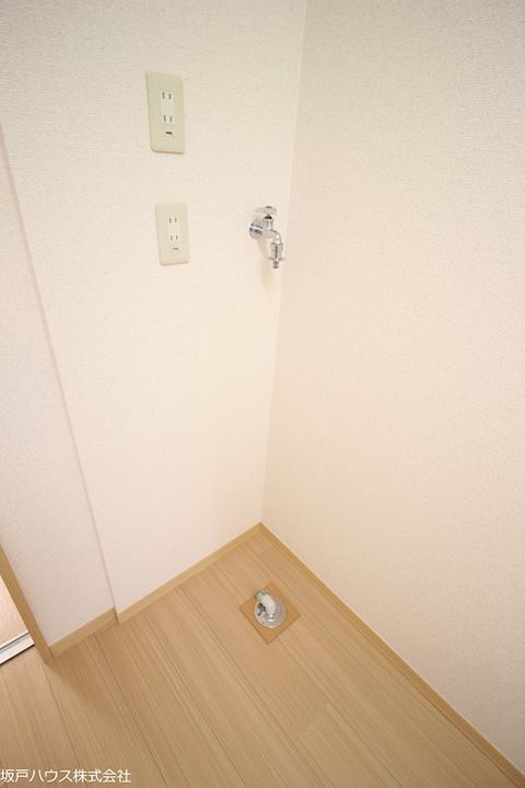 ステラ・ヒロのその他画像