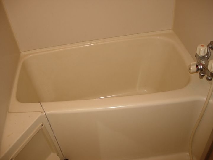 ラフォーレアイダ壱番館の風呂