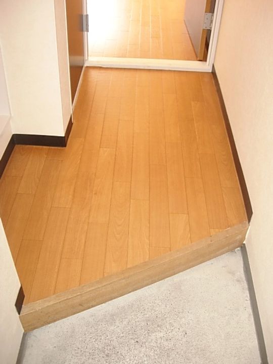 ラフォーレアイダ壱番館の玄関