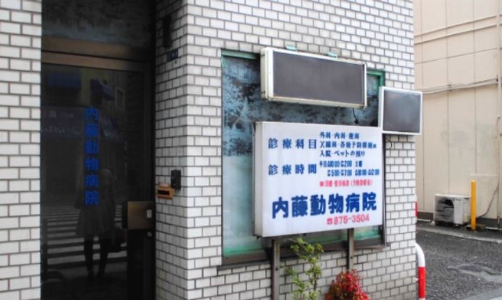 東京都台東区根岸3(マンション)の賃貸物件の周辺