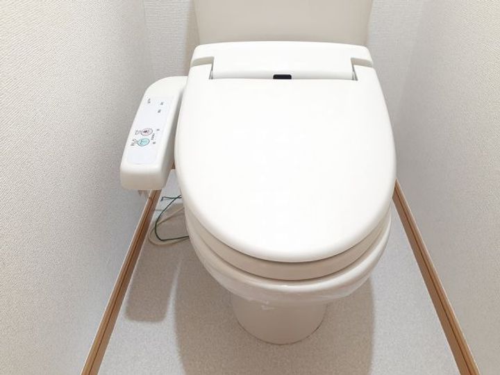 栃木県栃木市藤岡町藤岡(アパート)の賃貸物件の内装