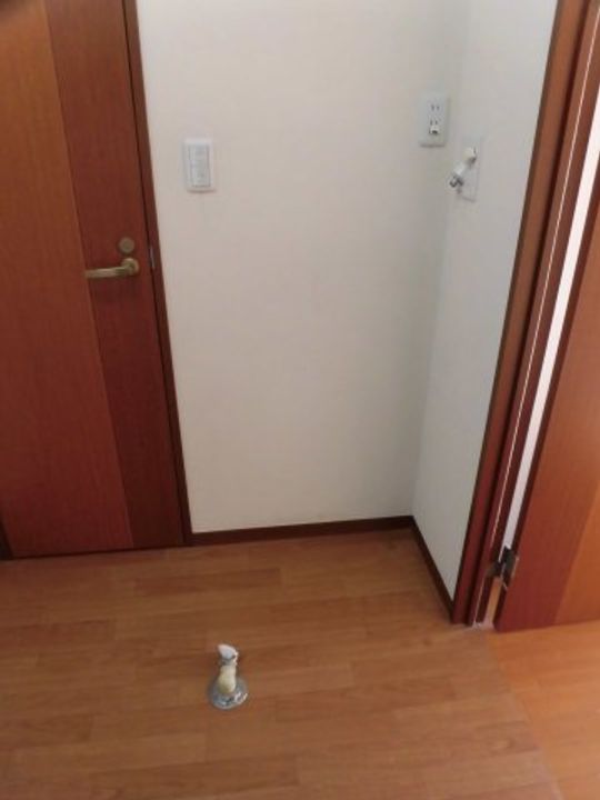 カサベルデのその他画像
