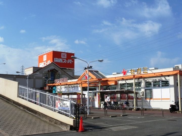大阪府八尾市西山本町6(一戸建)の賃貸物件の周辺