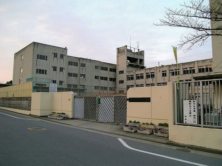 大阪府八尾市西山本町6(一戸建)の賃貸物件の周辺