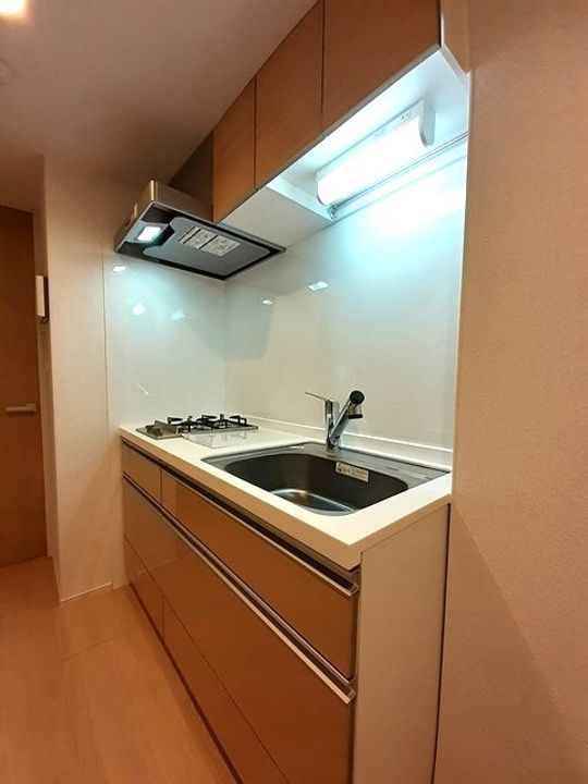 東京都大田区蒲田2(マンション)の賃貸物件のキッチン