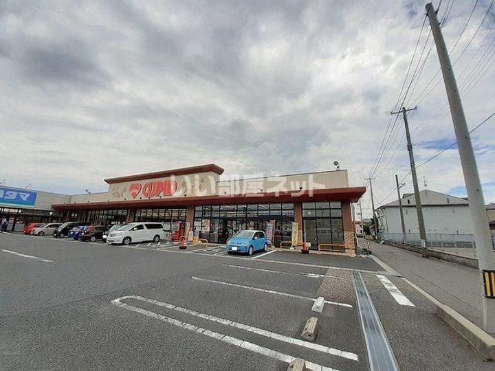 新潟県新潟市東区石山1(アパート)の賃貸物件の周辺