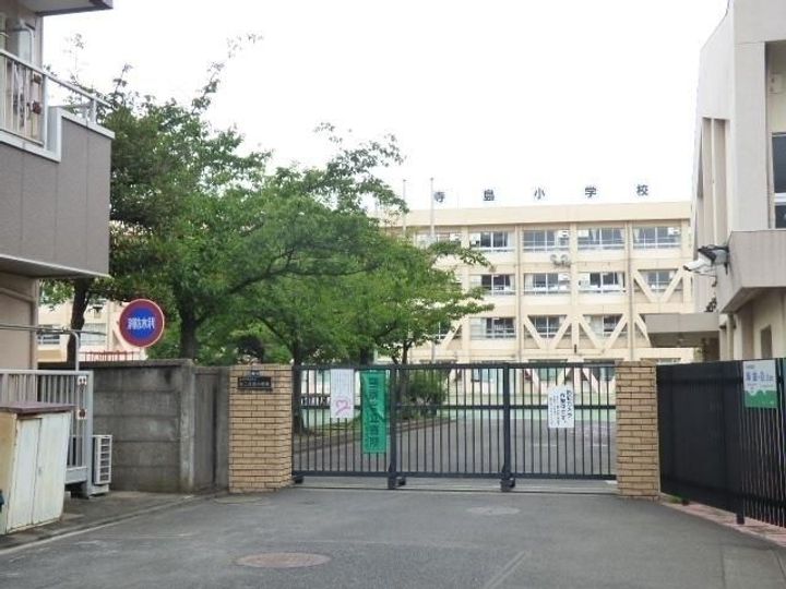 晴桜セイラの周辺