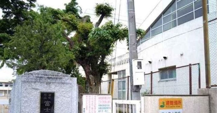 マーベラス ガーデンBの周辺