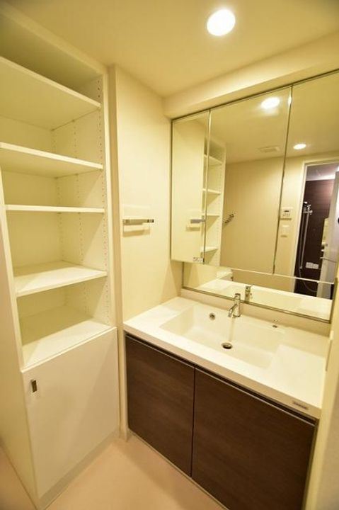 東京都日野市豊田4(マンション)の賃貸物件の内装