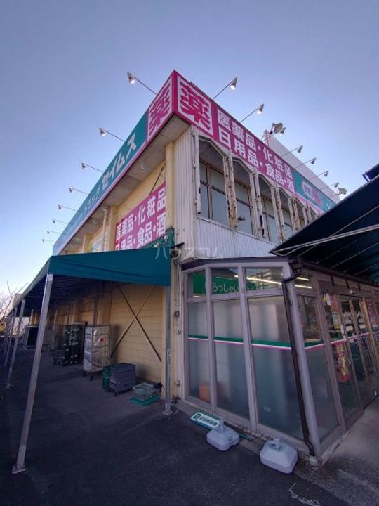 埼玉県さいたま市見沼区大字蓮沼(一戸建)の賃貸物件の周辺