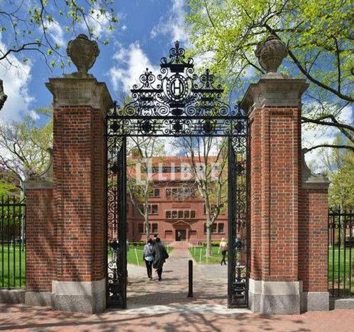 国立メゾンシャインの周辺