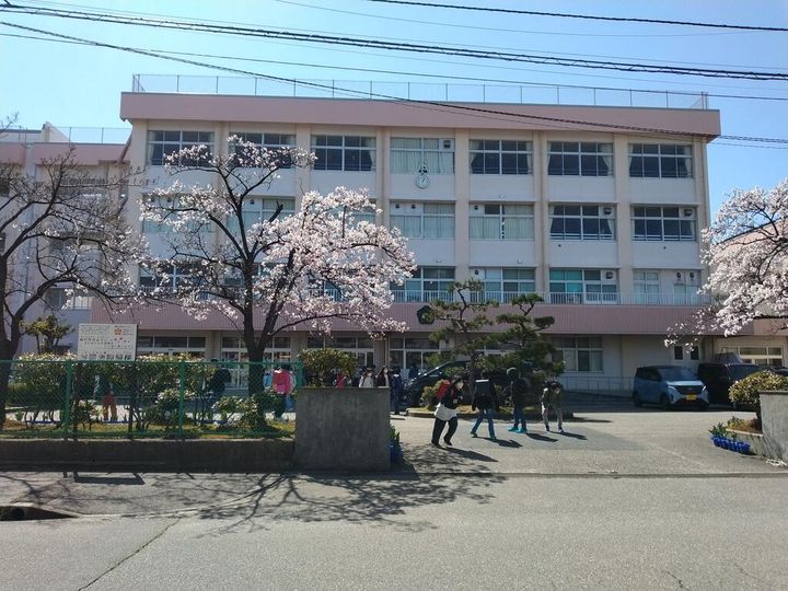 新潟県新潟市中央区姥ケ山5(一戸建)の賃貸物件の周辺