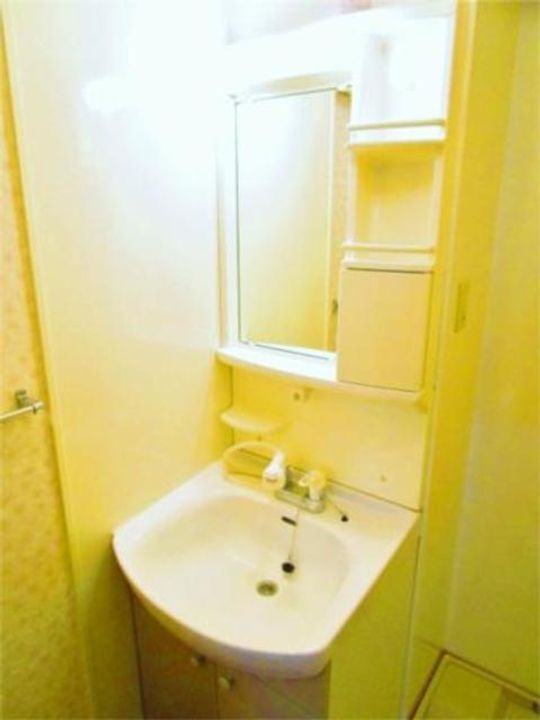 神奈川県相模原市緑区東橋本4(マンション)の賃貸物件の内装