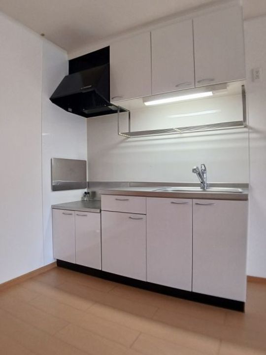 ワンネスサピーBのキッチン