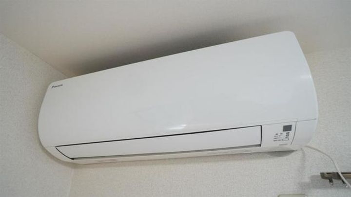 ボーンブンのその他画像