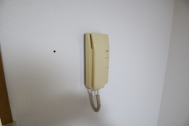 千葉県市川市妙典5(マンション)の賃貸物件の内装