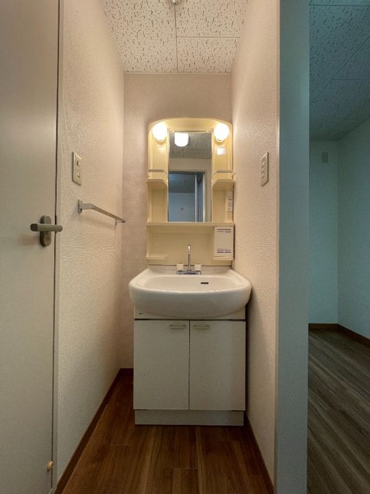 岡山県総社市中央6(マンション)の賃貸物件の内装