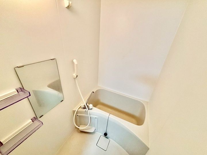大阪府堺市堺区翁橋町1(マンション)の賃貸物件の風呂