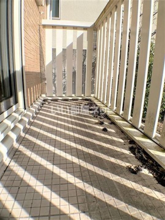 愛知県岡崎市真伝吉祥2(一戸建)の賃貸物件の内装