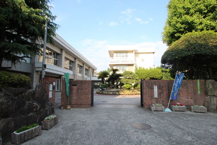 メゾン陽光の周辺