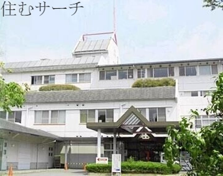 PLUMERIA shirasukaの周辺