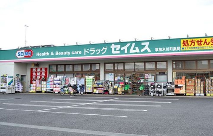 埼玉県草加市氷川町(一戸建)の賃貸物件の周辺