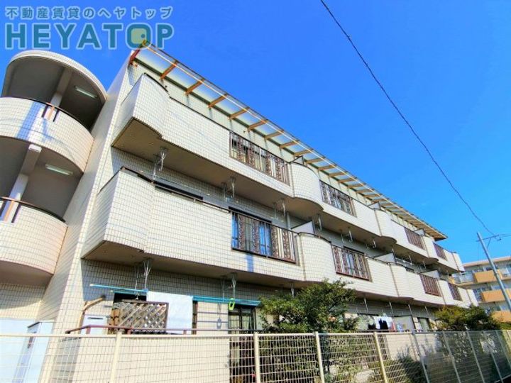 愛知県名古屋市南区平子1(マンション)の賃貸物件の外観