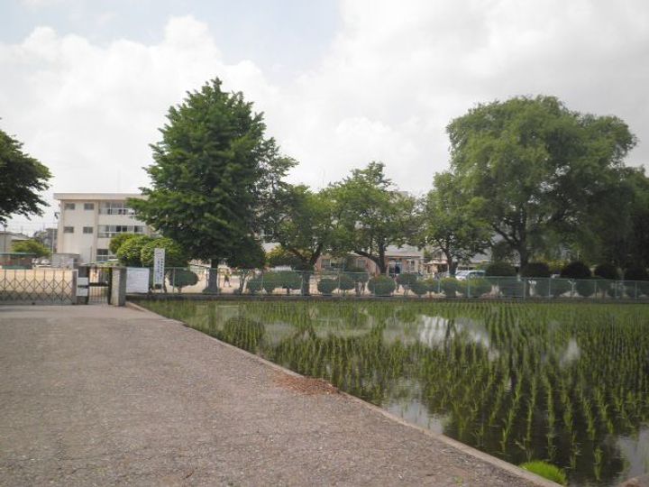 プレミアムガレージ陽東の周辺