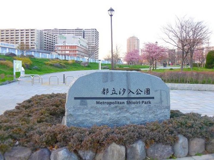 ロイヤルパークスタワー南千住の周辺