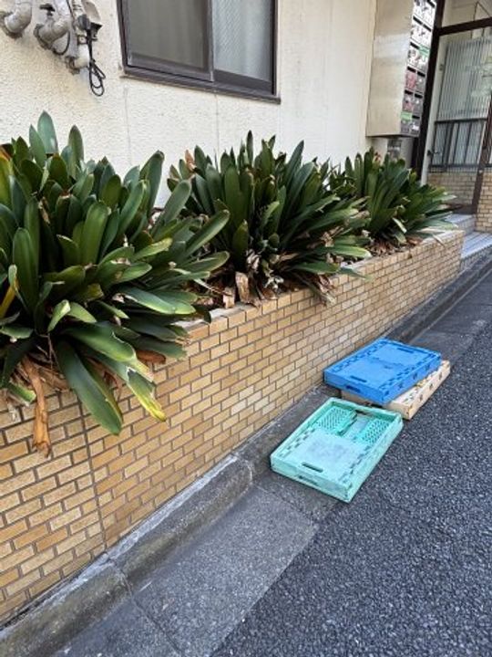 小石川ヒルズの地図