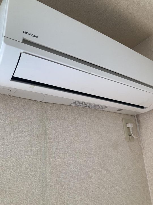 カメリアAのその他画像