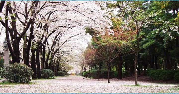 Park Axis 辰巳 STAGEの周辺