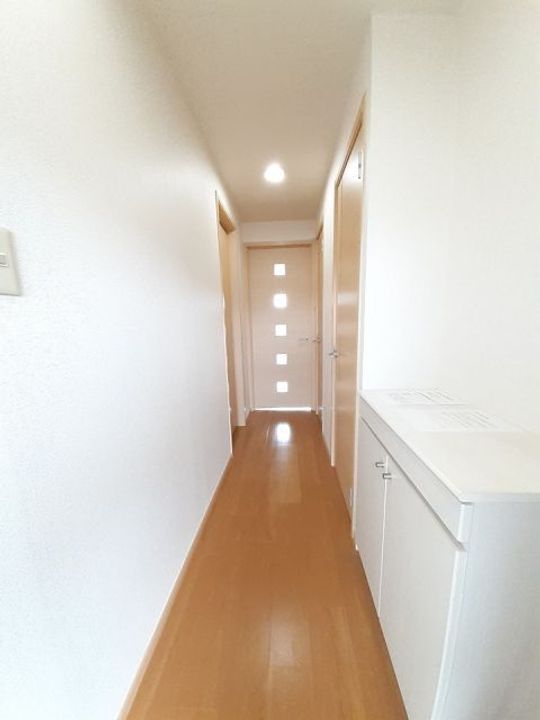 香川県観音寺市三本松町3(アパート)の賃貸物件の玄関