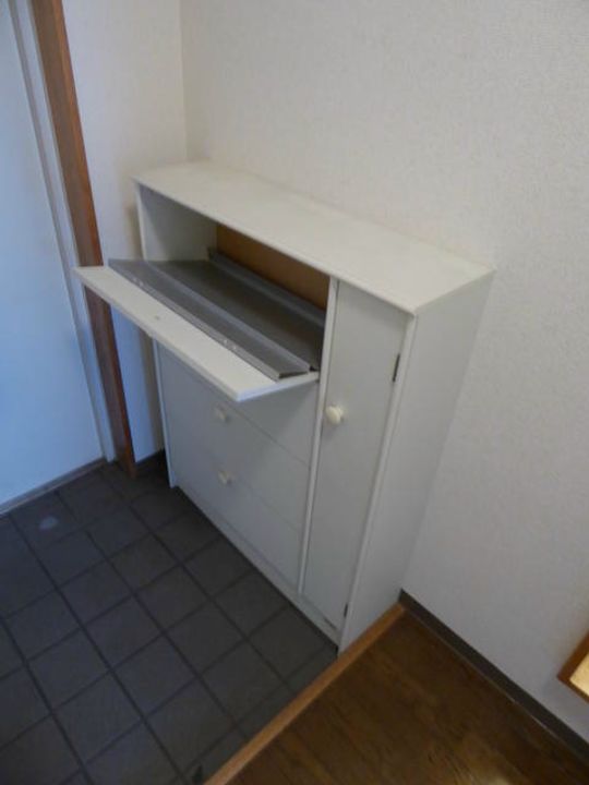 神奈川県伊勢原市粟窪(マンション)の賃貸物件の玄関