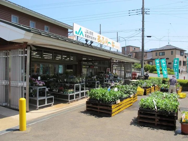 神奈川県伊勢原市粟窪(マンション)の賃貸物件の周辺