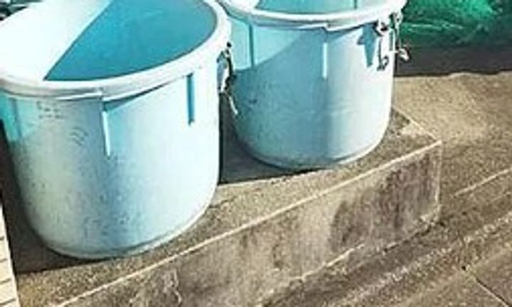 東京都調布市飛田給2(アパート)の賃貸物件の地図