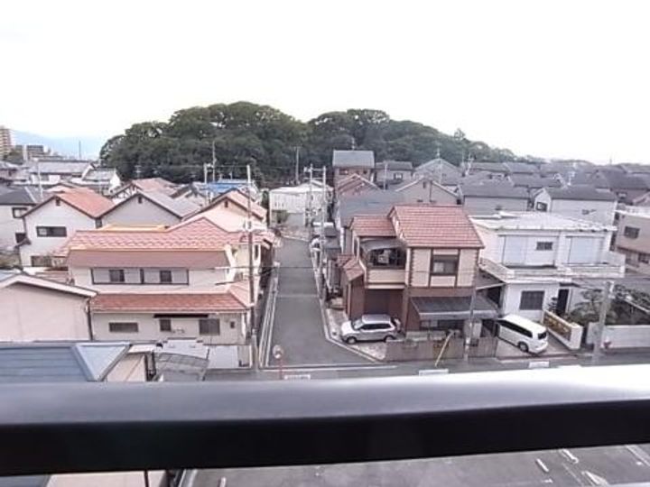 DH白鳥のその他画像