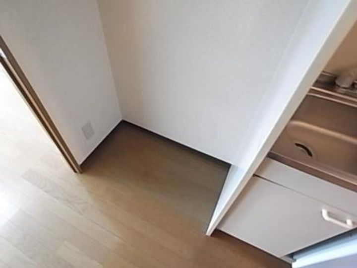 DH白鳥のその他画像