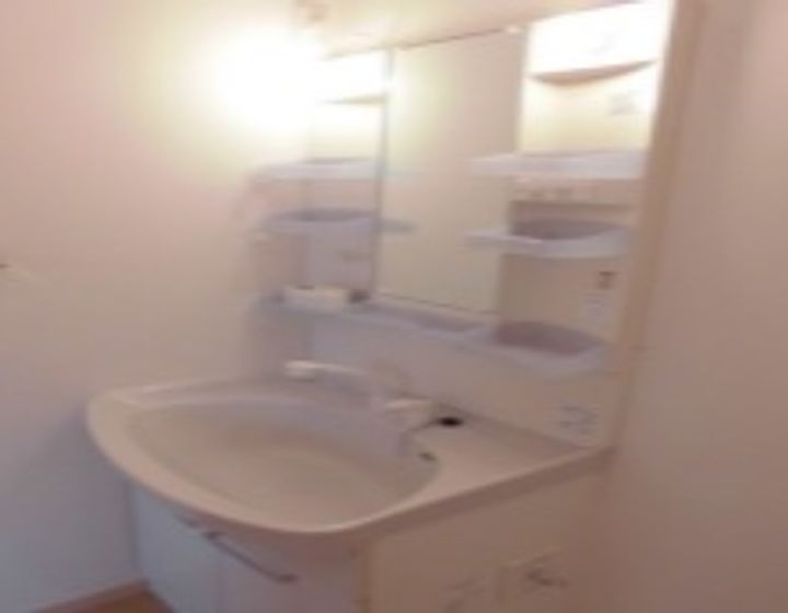 群馬県邑楽郡大泉町大字坂田(アパート)の賃貸物件の内装