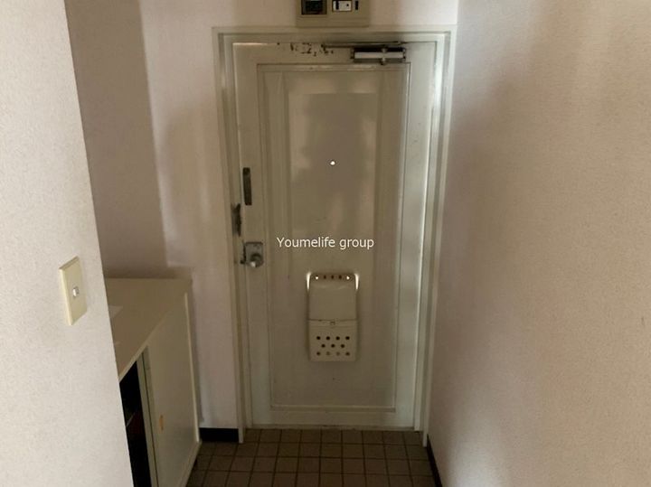 神奈川県厚木市水引2(マンション)の賃貸物件の玄関