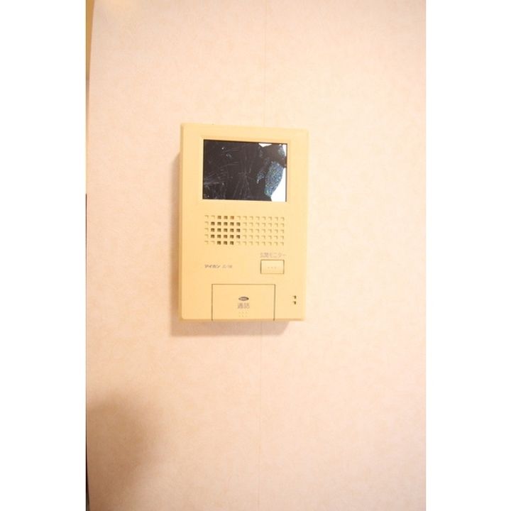 Pure Hanaueのその他画像